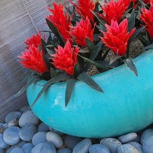 Meet your Posher, Robby